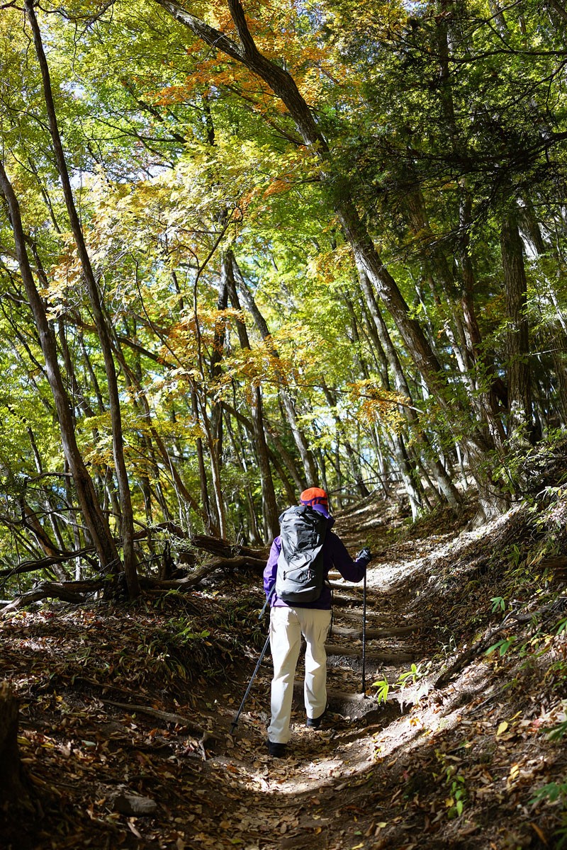 ASAMI THE MOUNTAIN|臼田あさ美さん|日向山|アークテリクス - Slide:2